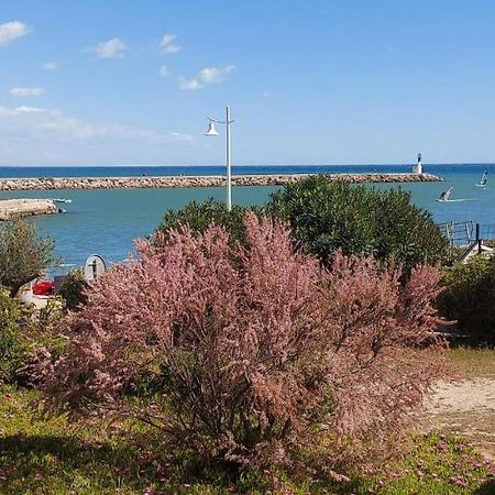 T3 Carnon, 1ère ligne 50m plage terrasse parking Mauguio Esterno foto